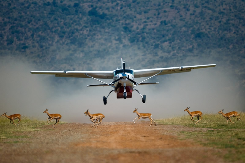 Kenya Safari