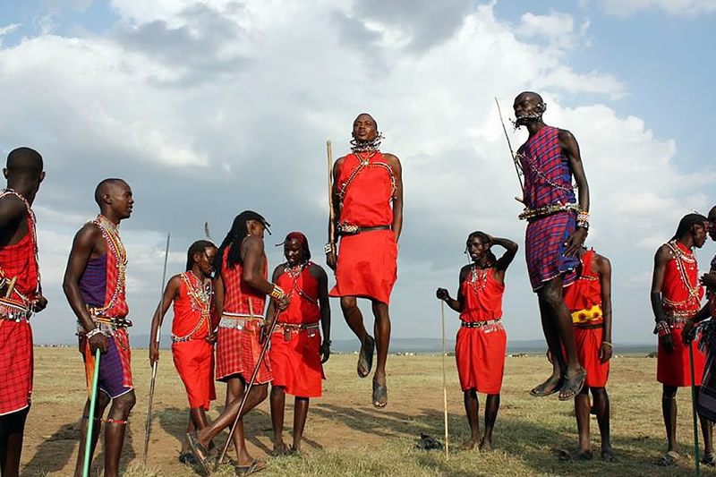 Tanzania Safari