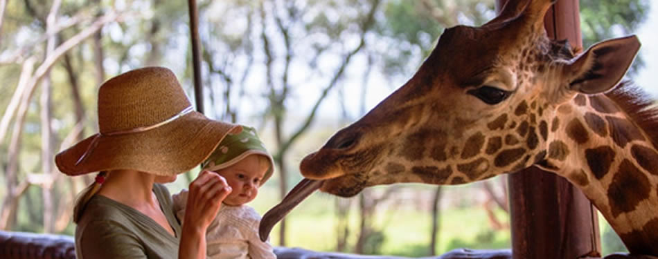 Giraffe Manor Nairobi