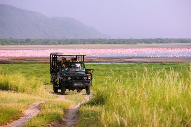 Tanazania Safari