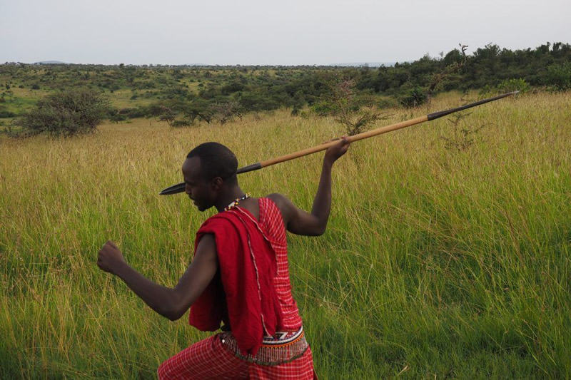 Kenya Safaris