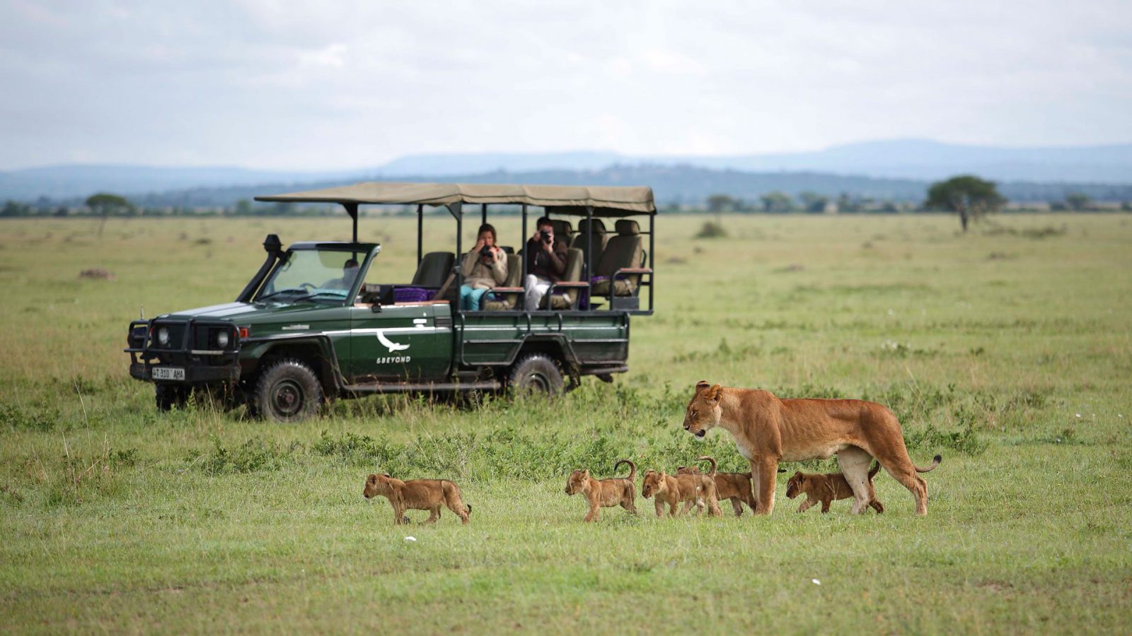 Tanzania Safari