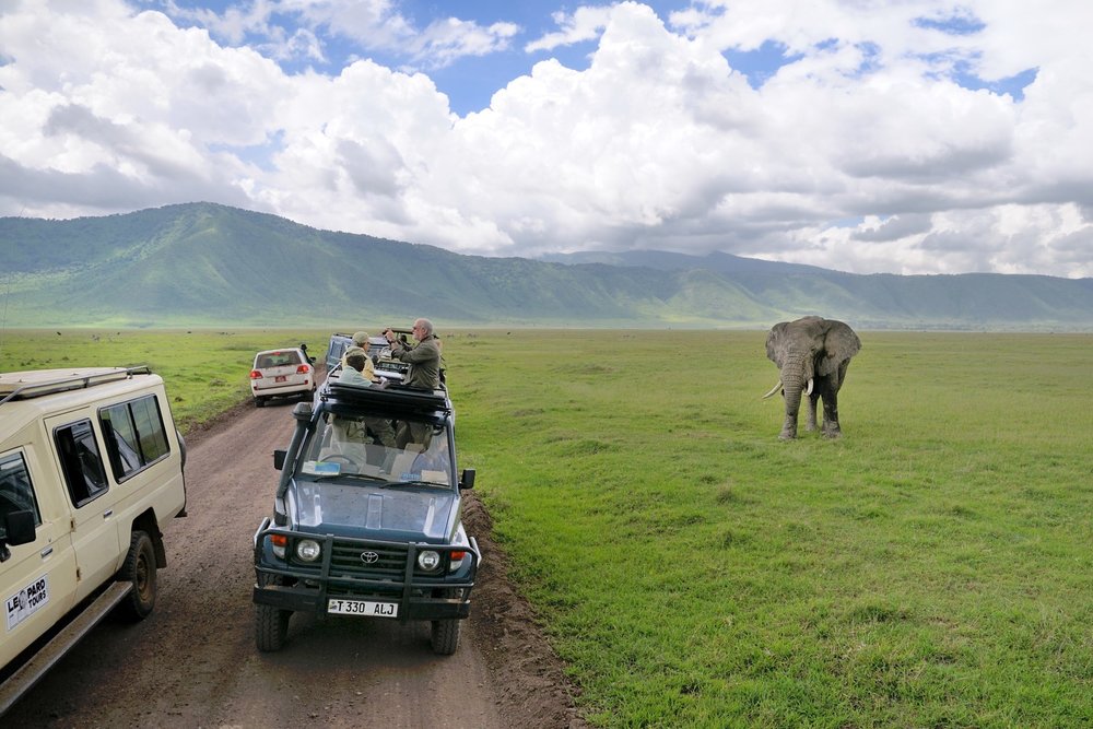 Amboseli Kenya Safari