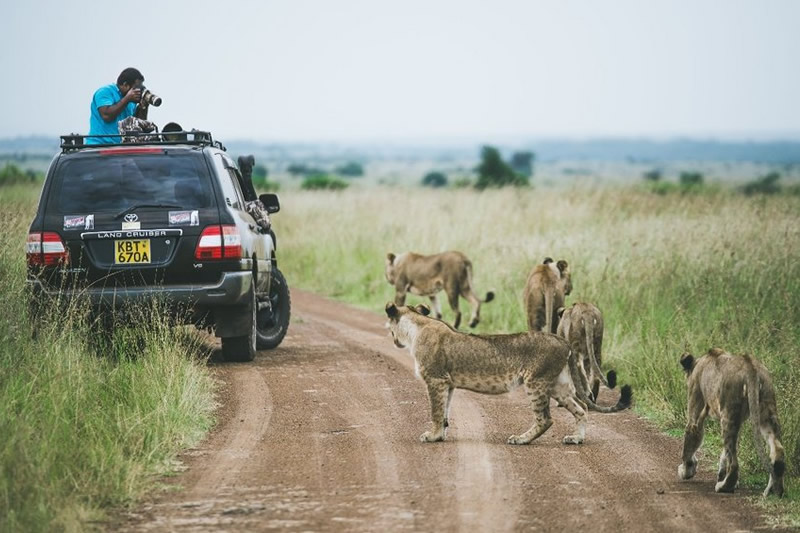 Carnivore Nairobi