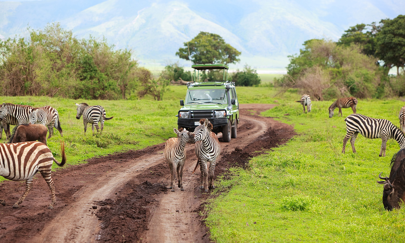 Amboseli Kenya Safari