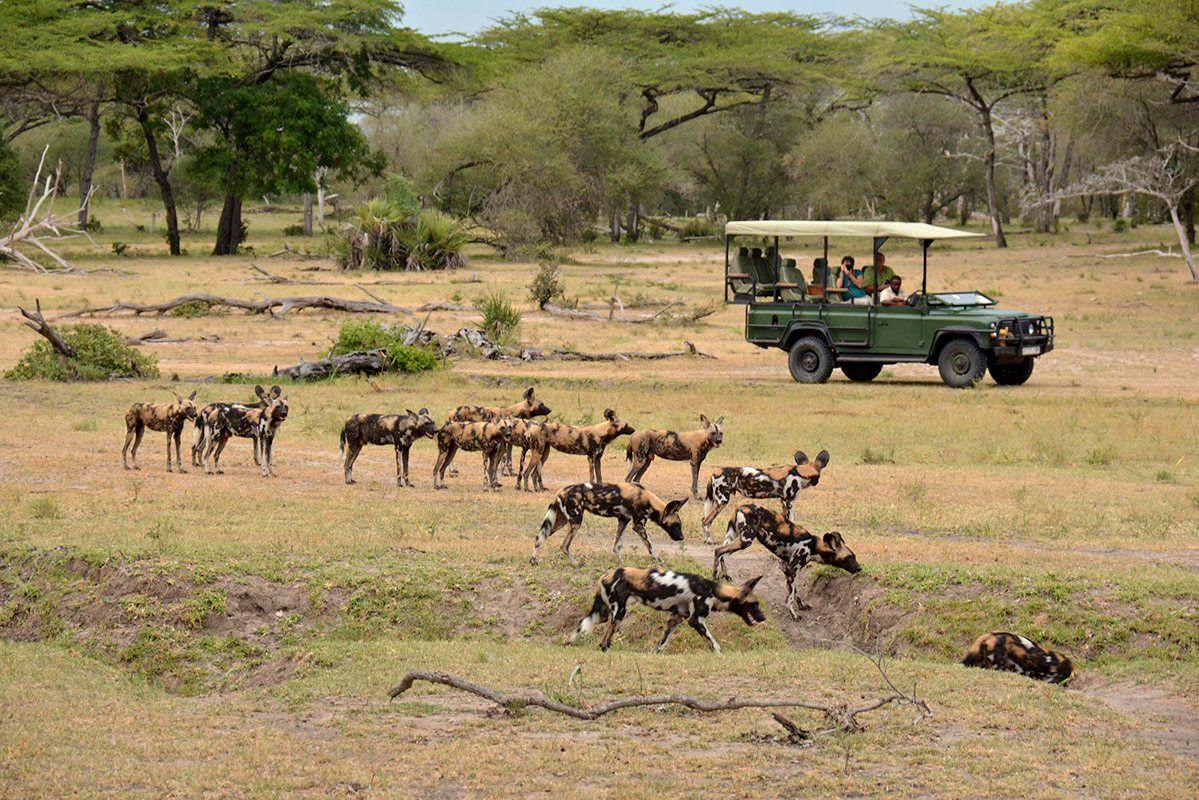 Amboseli Kenya Safari