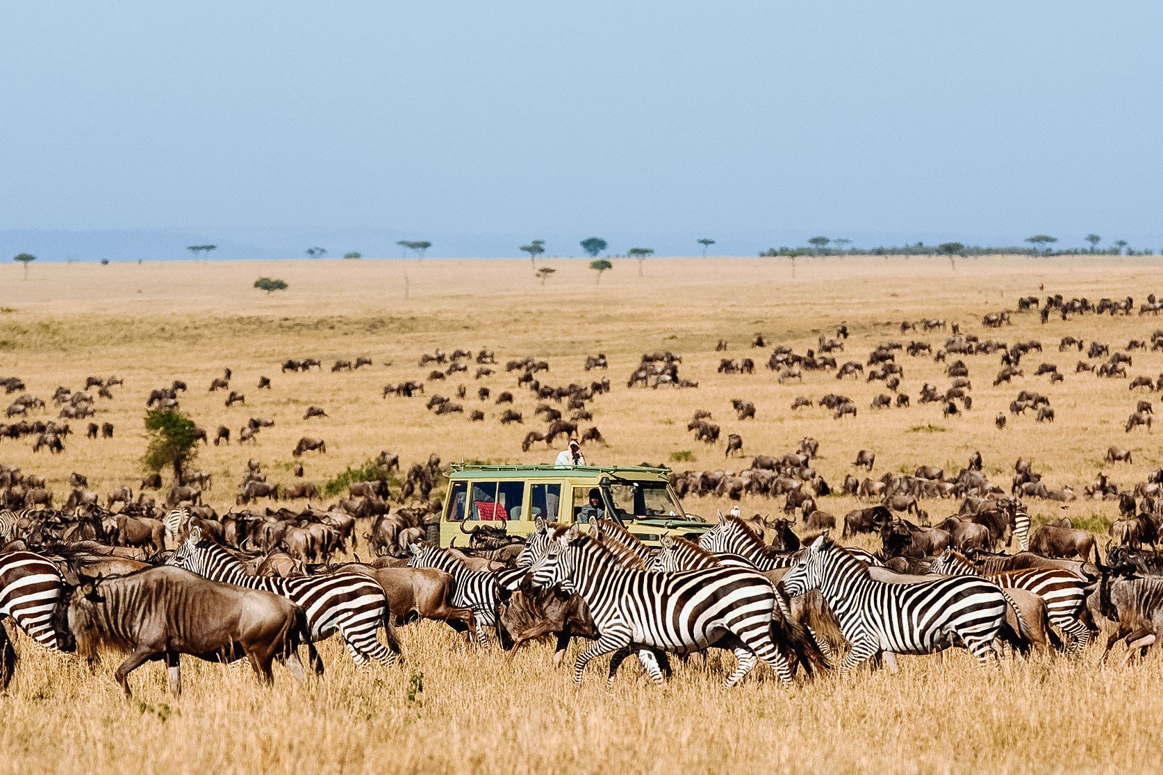 Amboseli Kenya Safari