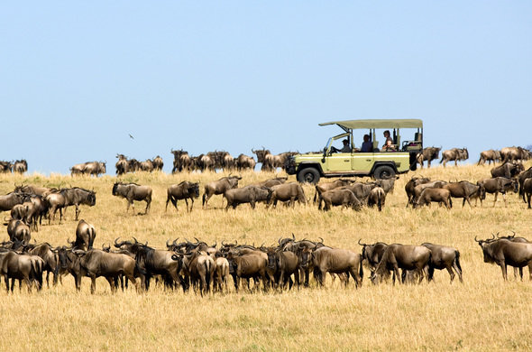 Amboseli Kenya Safari