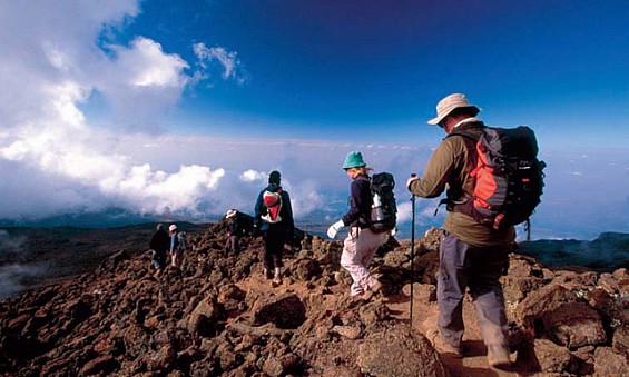 Kilimanjararo Trekking
