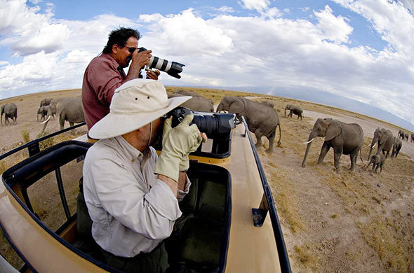 Tanzania Safari